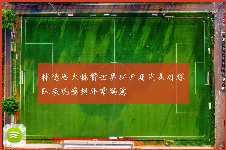 林德洛夫称赞世界杯开局完美对球队表现感到非常满意