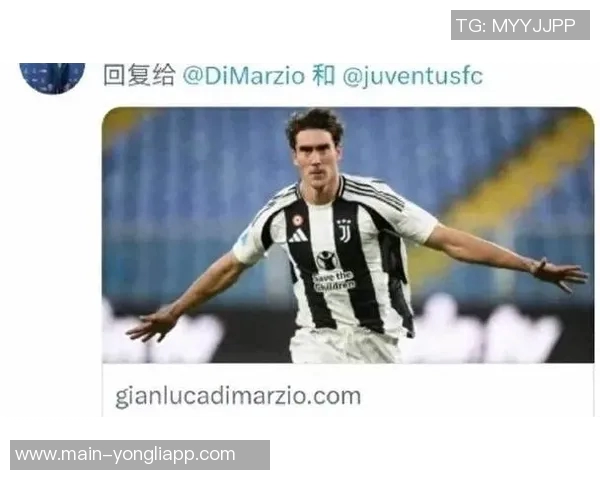 基耶利尼称赞弗拉霍维奇对尤文的热爱期待未来共同发展